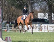 Di Giamberardino Goia TosTour2013- S5 2429 : Arezzo, Arezzo Equestrian Centre, Goia del Castegno del Castegno, Toscana Tour 2013, di Giamberardino Dario, foto di Stefano Secchi ©